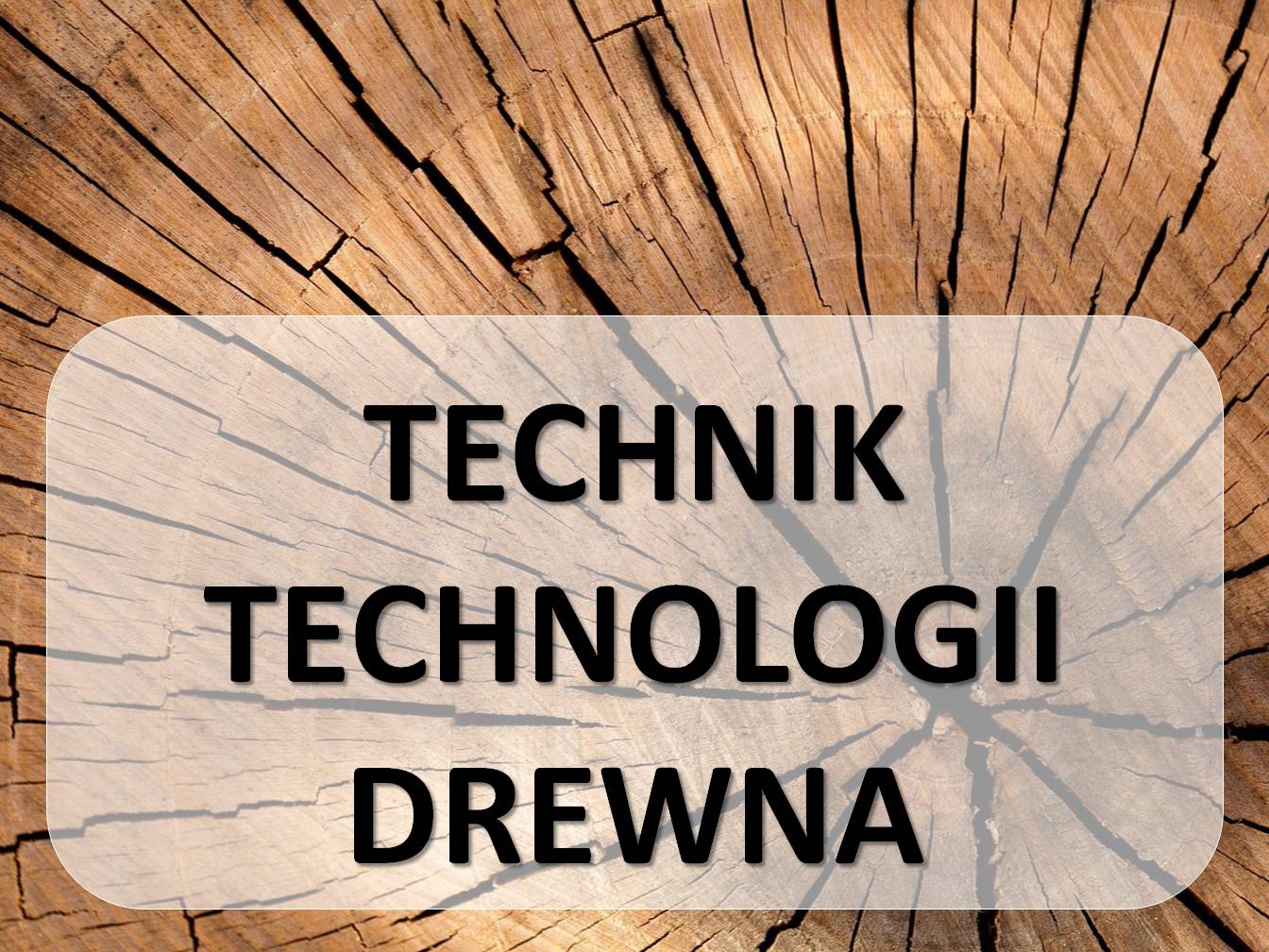Technik technologii drewna