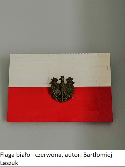 "Flaga biało - czerwona". Projekt "Flaga biało - czerwona".